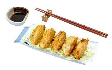fried dumplings or gyoza isolated