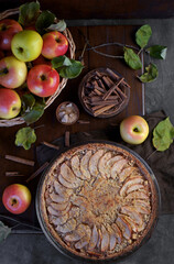apple pie with fresh fruits on a wooden table
