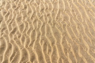 Fototapeta na wymiar sea sand close up