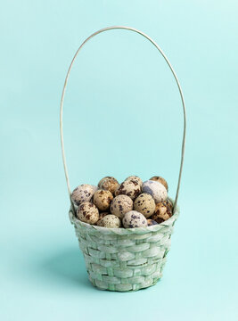 Light blue painted woven basket full of quail eggs on pastel blue background. Easter minimal image.