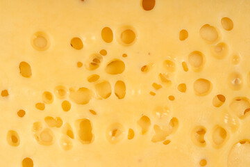 Texture of Radomer cheese close-up on a black background