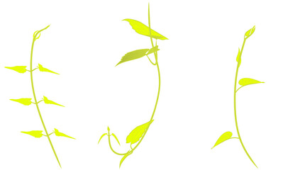 various yellow-green plant shoots on white background for edit, wallpaper, print, banner, billboard, fabric and other purposes