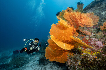 Male scuba diver with camera taking a photo with Gorgonian Sea Fan coral at North Andaman, a famous...
