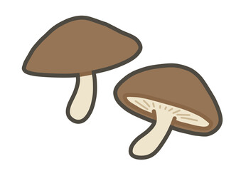 しいたけの手書きイラスト