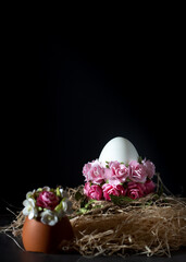 Easter egg with pink flowers on a black background with copy space