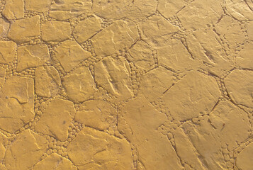 Yellow paving stones as a background.