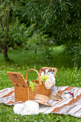 picnic in the meadow with copy space