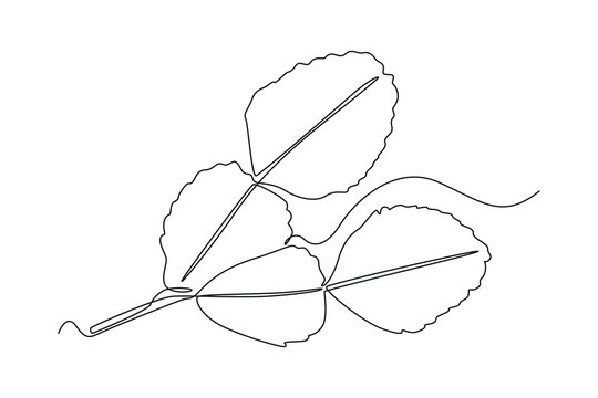 Single one line drawing lime leaves. Vegetable concept. Continuous line draw design graphic vector illustration.