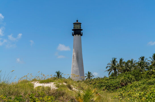 Cape Florida Lighthouse behind a grassy slope at Bill Baggs Cape Florida State in Miami, Florida. Lighthouse with black and white painted exterior near the coconut trees against the blue sky.