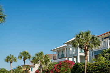 Fototapeta na wymiar Views of houses with bougainvillea and palm trees at the front in Destin, Florida. Row of houses with balconies under the clear blue skies.