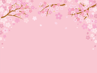 Naklejka na ściany i meble ピンクの桜の背景イラスト