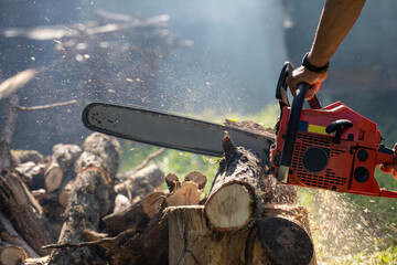 Chainsaw. Close-up of woodcutter sawing chain saw in motion - obrazy, fototapety, plakaty