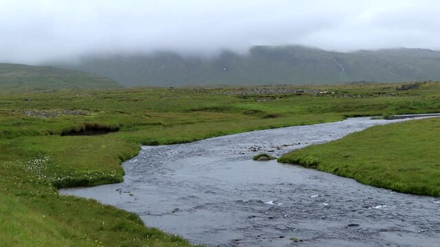 Beautiful Laxa River at Hellissandur Meandering through Green Nature in Iceland, 4K
