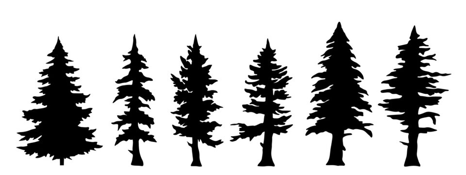 Forest woods trees vector illustration set collection for logo - Black silhouette of different spruce and fire, isolated on white background