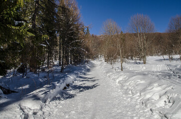 Szlak na połoninę Wetlińską - Bieszczady 