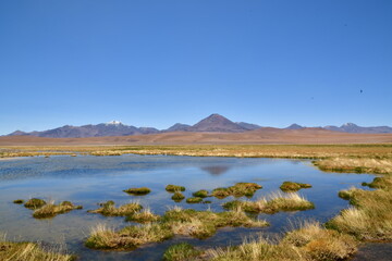 Atacama desert laguna salar panorama Andes chile south america 