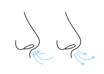 Nose, breath, line icon. Breathing exercise of nose, deep exhale and inhale. Nasal breath, respiratory cycle. Healthy yoga and relaxation. Vector