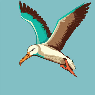 recommend clip art: Colorful flying albatross pop art style vector illustration