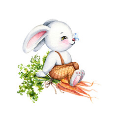 Cute watercolor rabbit sitting on a bunch of carrots.  Funny cartoon character. Hand drawn illustration. Spring easter composition . Holiday design for cards, invites, scrapbooking.