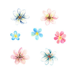 Simple set of blue and pink flowers. Watercolor spring clipart. Hand drawn illustrations isolated on white background. Floral elements for cards, decor, scrapbooking.