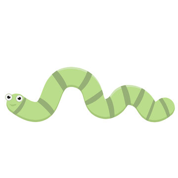 green worm on white transparent background, Worm cartoon vector
