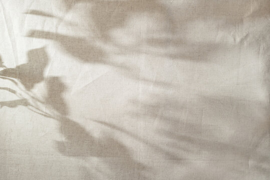 Abstract sun light shadow silhouette on beige textile, aesthetic floral background, copy space © Viktoriia