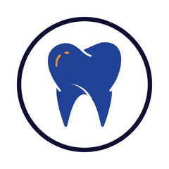 human body parts, tooth, human tooth icon