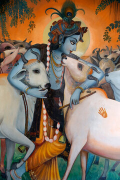 Painting depicting Hindu god Krishna hugging cows. India.
