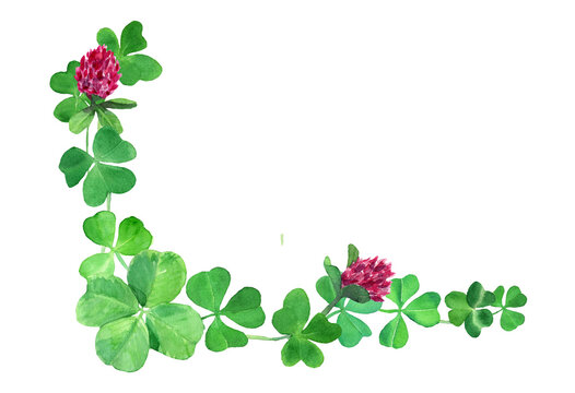 Watercolor hand drawn composition with four leaves clover & flowers. Decorative frame with green clover. Saint Patrick day background. Spring decorative ornate. Design for Irish day celebration.