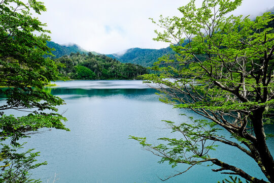 Scenery with lake, Los Lagos Trail, Huerquehue National Park, Pucon, Araucania Region, Chile