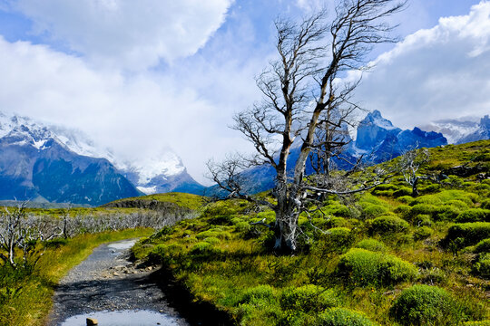 Landscape of Torres Del Paine National Park, Ultima Esperanza, Chile