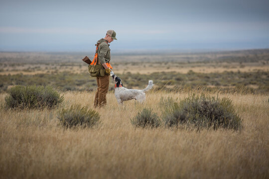 Man upland bird hunting with his dogs in the plains of northeastern Montana.