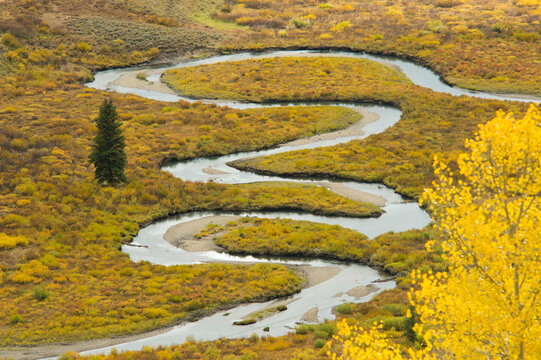 Scenery of meandering river through yellow meadow in autumn, Crested Butte, Colorado, USA