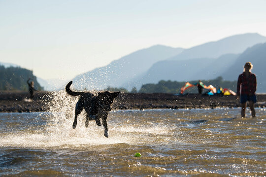 Woman With Dog Playing In Water