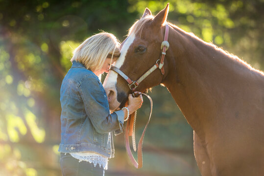 A woman an her horse in a sunny paddock
