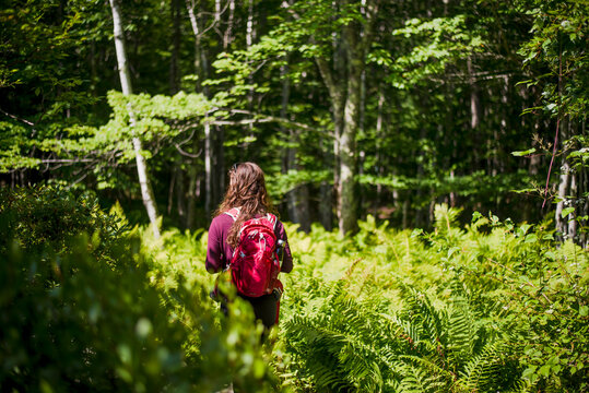 Woman hiking in forest in Acadia National Park, Bar Harbor, Maine, USA