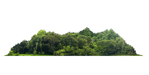 Group green tree on transparent background. png file. Cutout tree line. Row of green trees and...