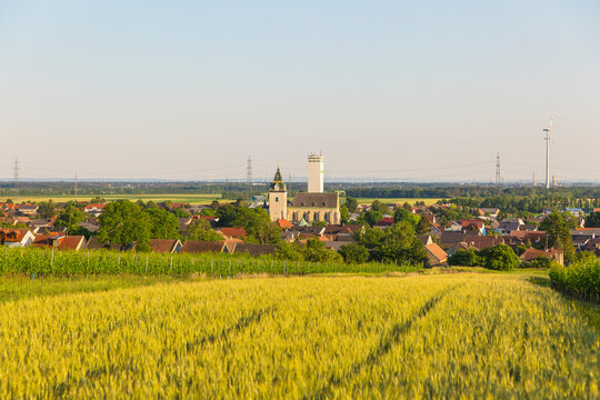 Austria, Lower Austria, Grossengersdorf, Grassy field in summer with rural town in background
