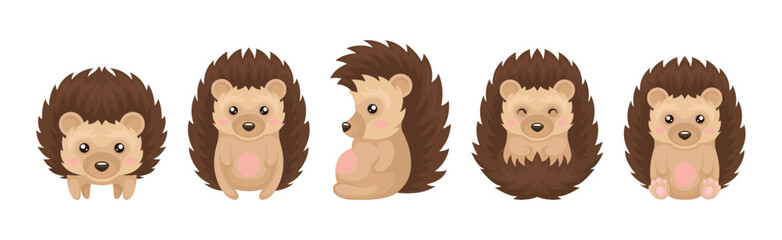 Cute Brown Hedgehog in Various Poses Vector Set