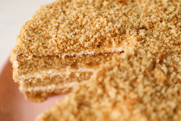 Concept of delicious sweet food - honey cake