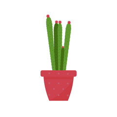 Cactus in a flat style on a white background. Blossoming with pink flowers, in a pot. Vector illustration in a flat style.