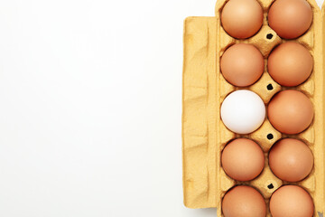 Concept of meal for breakfast, eggs, space for text