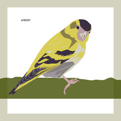 Bird siskin in a tree