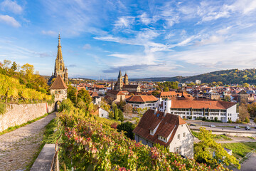 Germany, Baden-Wurttemberg, Esslingen, View of town in autumn with vineyard in foreground