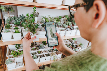 Woman identifying succulent plant through mobile phone at home