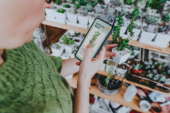 Woman identifying succulent plant through smart phone at home