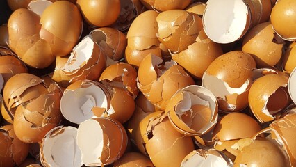 egg shell background texture