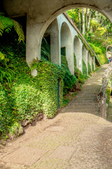 view of tropical Madeira Monte Palace garden in Funchal during a sunny day in february with its natural beauty