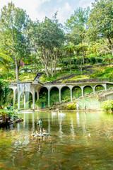 Fototapeta na wymiar view of tropical Madeira Monte Palace garden in Funchal during a sunny day in february with its natural beauty