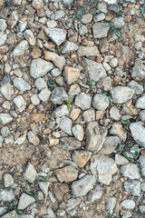 Background with stones scattered on the ground and small natural debris. Natural countryside background.